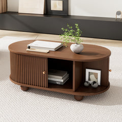 Oval Coffee Table With 2 Sliding Doors