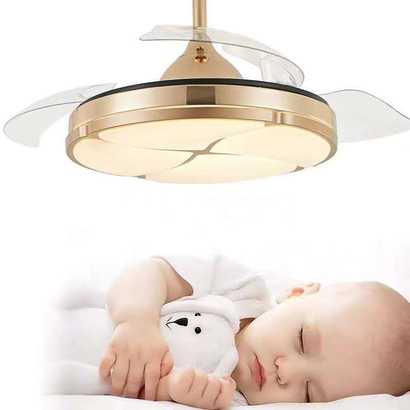 Modern Ceiling Fan Light for Living Room, Bedroom & Dining Spaces